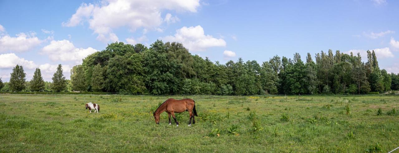 De Lammersdamhoeve Wingene Zewnętrze zdjęcie
